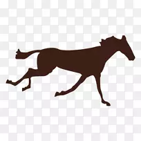 ����������-������