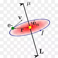 ֱ�ߵ�Բ�Ǿ�-������