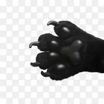 熊狗爪摄影-熊锋利的爪子-空若网 熊狗爪摄影-熊锋利的爪子-空若网