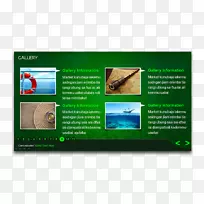 չʾ����л����ý��Ԥ��ģ��-������