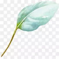 水彩画叶水画-空若网 水彩画叶水画-空若网