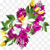 鲜花花束切花-牛奶花-空若网 鲜花花束切花-牛奶花-空若网