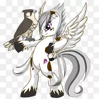 鸟类动物脊椎动物-凶猛-空若网 鸟类动物脊椎动物-凶猛-空若网