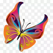 蝴蝶剪贴画.运动-空若网 蝴蝶剪贴画.运动-空若网