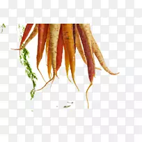 ʳ��Ӫ���䷽Ӫ�����ܲ��߲�-������