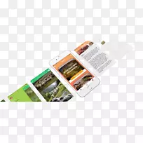 Tiroler bergschaf Braunes bergschaf Tyrol����-2-11�Ա�-������