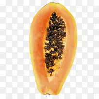 ��ľ��-��ľ��-������