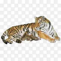 �ϻ�Ұ������è��-������