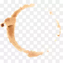 �������ձ�-����������-������