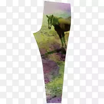 ޹�²�����������.ˮ����-������