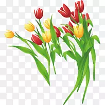 郁金香插花艺术.郁金香材料-空若网 郁金香插花艺术.郁金香材料-空若网