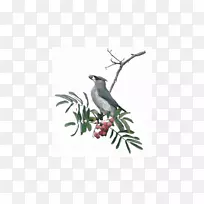 鸟,树,喙,树枝,羽毛-一只幼鸟-空若网 鸟,树,喙,树枝,羽毛-一只幼鸟-空若网