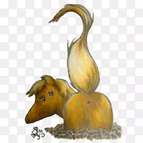 动物野生动物食肉动物传奇生物-泥马-空若网 动物野生动物食肉动物传奇生物-泥马-空若网