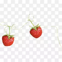 草莓果-草莓绳-空若网 草莓果-草莓绳-空若网