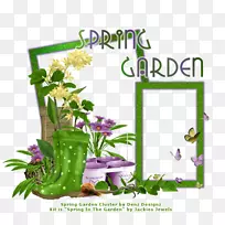 切花花卉设计花卉植物-春绿-空若网 切花花卉设计花卉植物-春绿-空若网