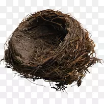食用鸟巢工业设计.古巢-空若网 食用鸟巢工业设计.古巢-空若网