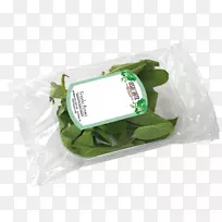 常见鼠尾草肉洗猪香-鼠尾草-空若网 常见鼠尾草肉洗猪香-鼠尾草-空若网