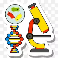 ��΢����ѧ��ѧ��΢��ͼ��-������