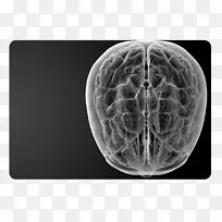 人脑神经化学健康理疗-晚期癌症-空若网 人脑神经化学健康理疗-晚期癌症-空若网