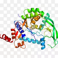 生物线条动物剪贴画-球状-空若网 生物线条动物剪贴画-球状-空若网
