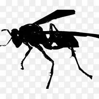 �����ִ���������Ʒ�-����-������