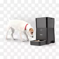 猫狗智能手机安卓宠物-合理的饮食习惯-空若网 猫狗智能手机安卓宠物-合理的饮食习惯-空若网