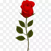 玫瑰花月季剪贴画-空若网 玫瑰花月季剪贴画-空若网