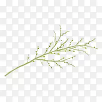 Ò¶Ö¦Ò¶-¿ÕÈôÍø Ò¶Ö¦Ò¶-¿ÕÈôÍø