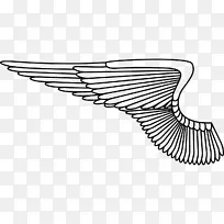 ˮţ��������-������