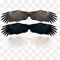 �������Ӱ-��-������