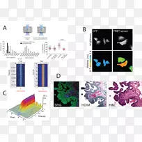 平面设计-设计-空若网 平面设计-设计-空若网
