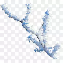 树枝雪夹艺术-雪-空若网 树枝雪夹艺术-雪-空若网