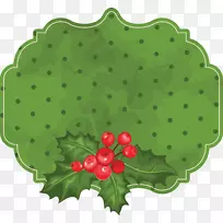 ˮ������ݮ������-������