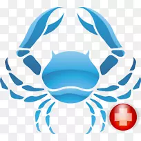 蟹癌星座标志-螃蟹-空若网 蟹癌星座标志-螃蟹-空若网