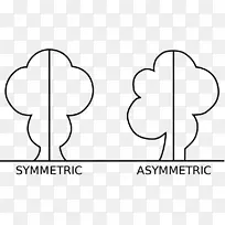 反射对称不对称形状-空若网 反射对称不对称形状-空若网