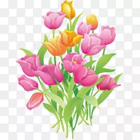 郁金香花画夹艺术-郁金香-空若网 郁金香花画夹艺术-郁金香-空若网