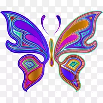 蝴蝶昆虫剪贴画-蝴蝶-空若网 蝴蝶昆虫剪贴画-蝴蝶-空若网