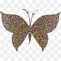 蝴蝶昆虫蛾彩色剪贴画-蝴蝶-空若网 蝴蝶昆虫蛾彩色剪贴画-蝴蝶-空若网