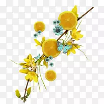 柠檬-酸橙饮料奥格里斯柠檬胡椒水果-柠檬花边-空若网 柠檬-酸橙饮料奥格里斯柠檬胡椒水果-柠檬花边-空若网