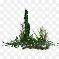 淹没植物绿色RGB颜色模型-空若网 淹没植物绿色RGB颜色模型-空若网