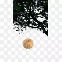 ��������ֽ-����-������