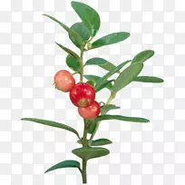 Ô½éÙ¡¢²¤ÂÜ-²¤ÂÜ-¿ÕÈôÍø Ô½éÙ¡¢²¤ÂÜ-²¤ÂÜ-¿ÕÈôÍø