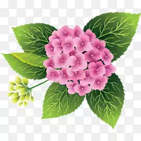 花束绣球夹子艺术-花-空若网 花束绣球夹子艺术-花-空若网