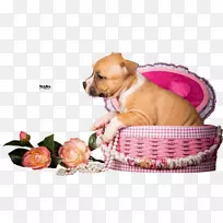 С������-������