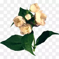 ������Ȼ�⾰-��-������