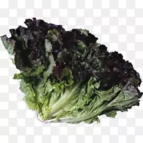 叶菜,生菜,食品,蔬菜-空若网 叶菜,生菜,食品,蔬菜-空若网