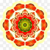 画旋转对称花设计花-花-空若网 画旋转对称花设计花-花-空若网