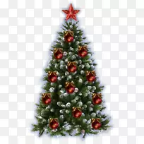 Ê¥µ®Ê÷»¿òÊ¥µ®½Ú×°ÊÎ-Ê¥µ®½Ú-¿ÕÈôÍø Ê¥µ®Ê÷»¿òÊ¥µ®½Ú×°ÊÎ-Ê¥µ®½Ú-¿ÕÈôÍø