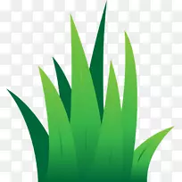 ��ƺ������-������