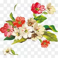 花盆花-空若网 花盆花-空若网